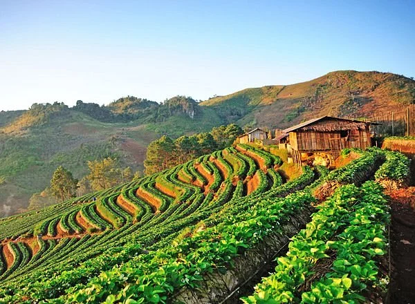 Doi Ang Khang