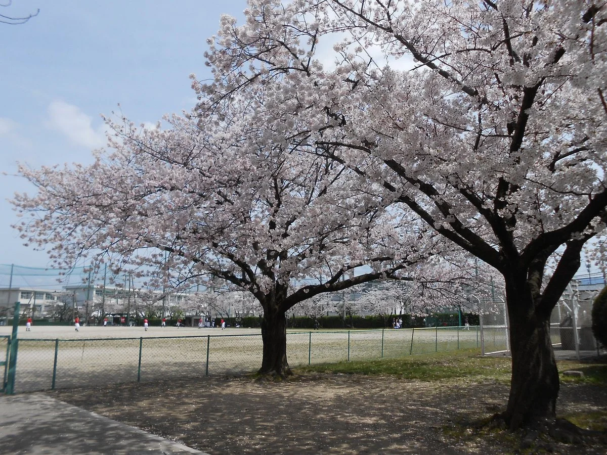 Kasuga City North Sports Center NHK Radio Park