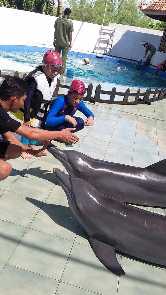 Batang Dolphin Center
