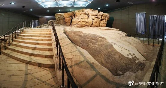 Fossils National Geological Park of Guanling