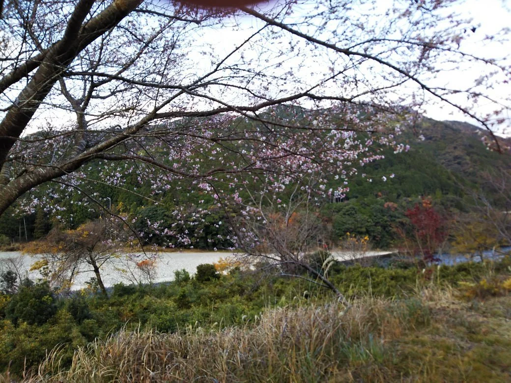 Kizuro Shuraku