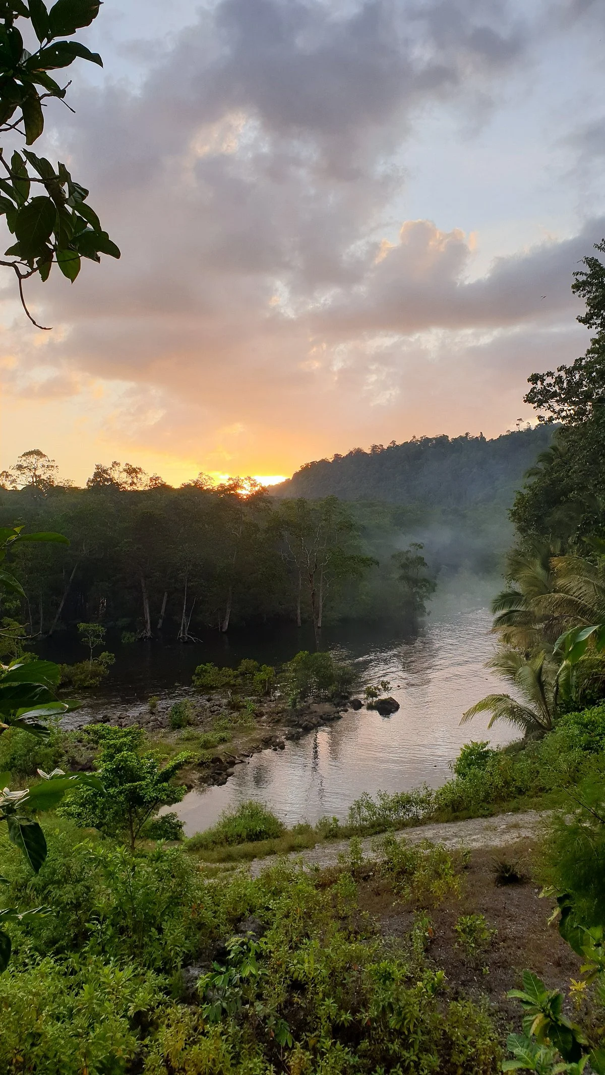 Ruar Mangrove Forest Park