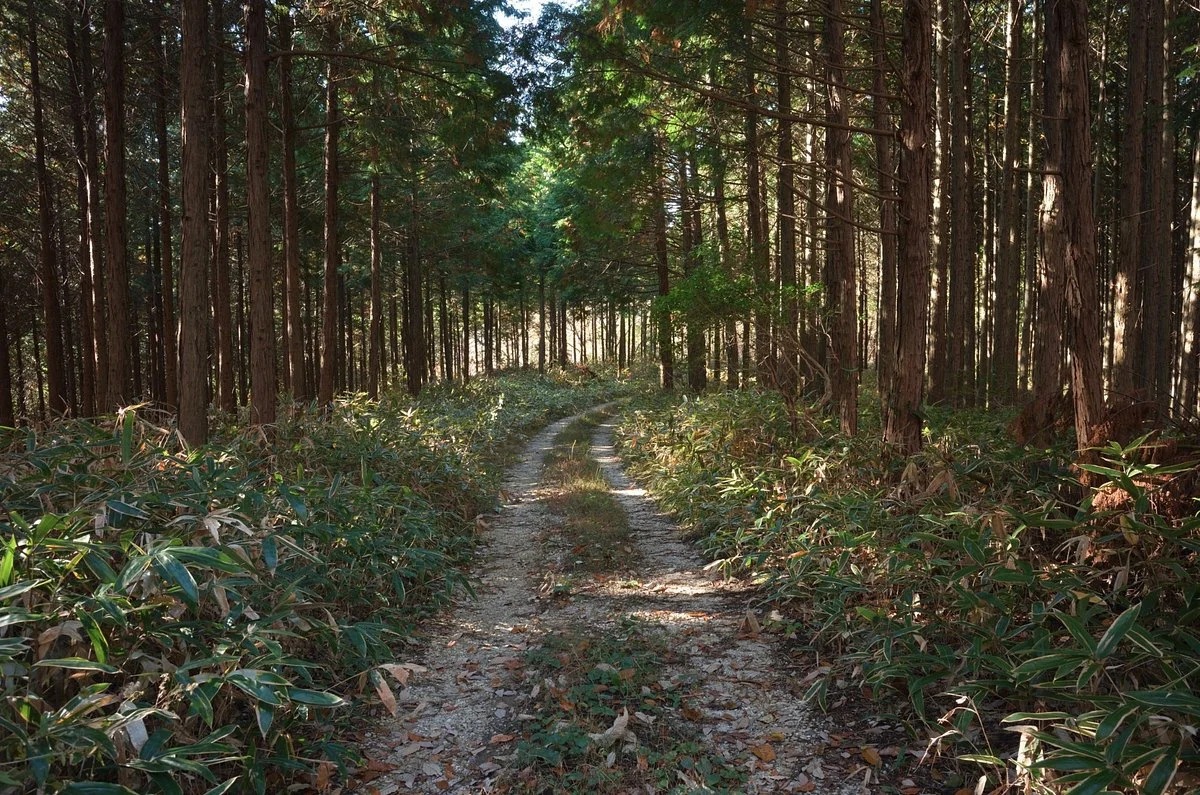 Mt. Suisho