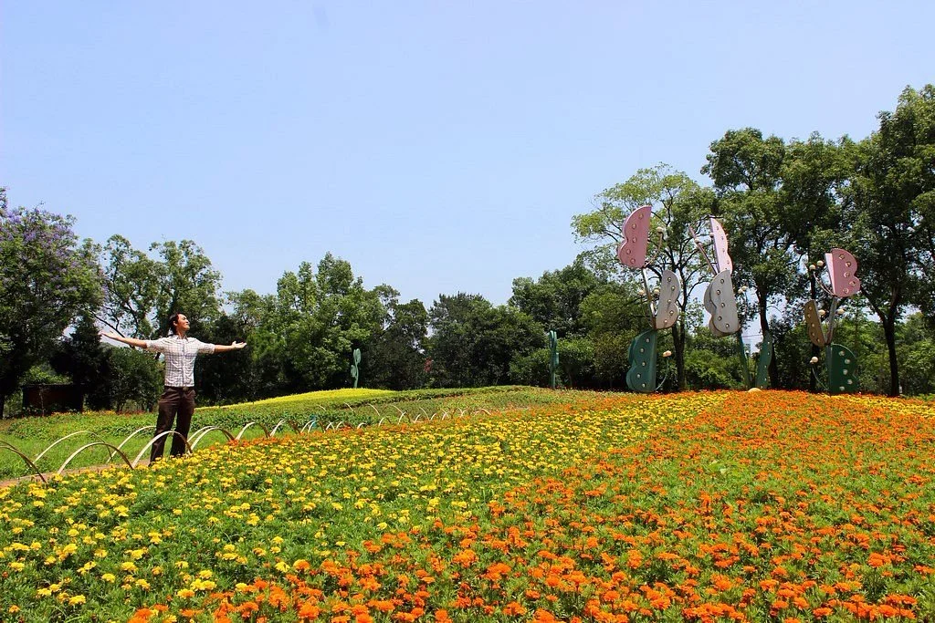 Queshan Park