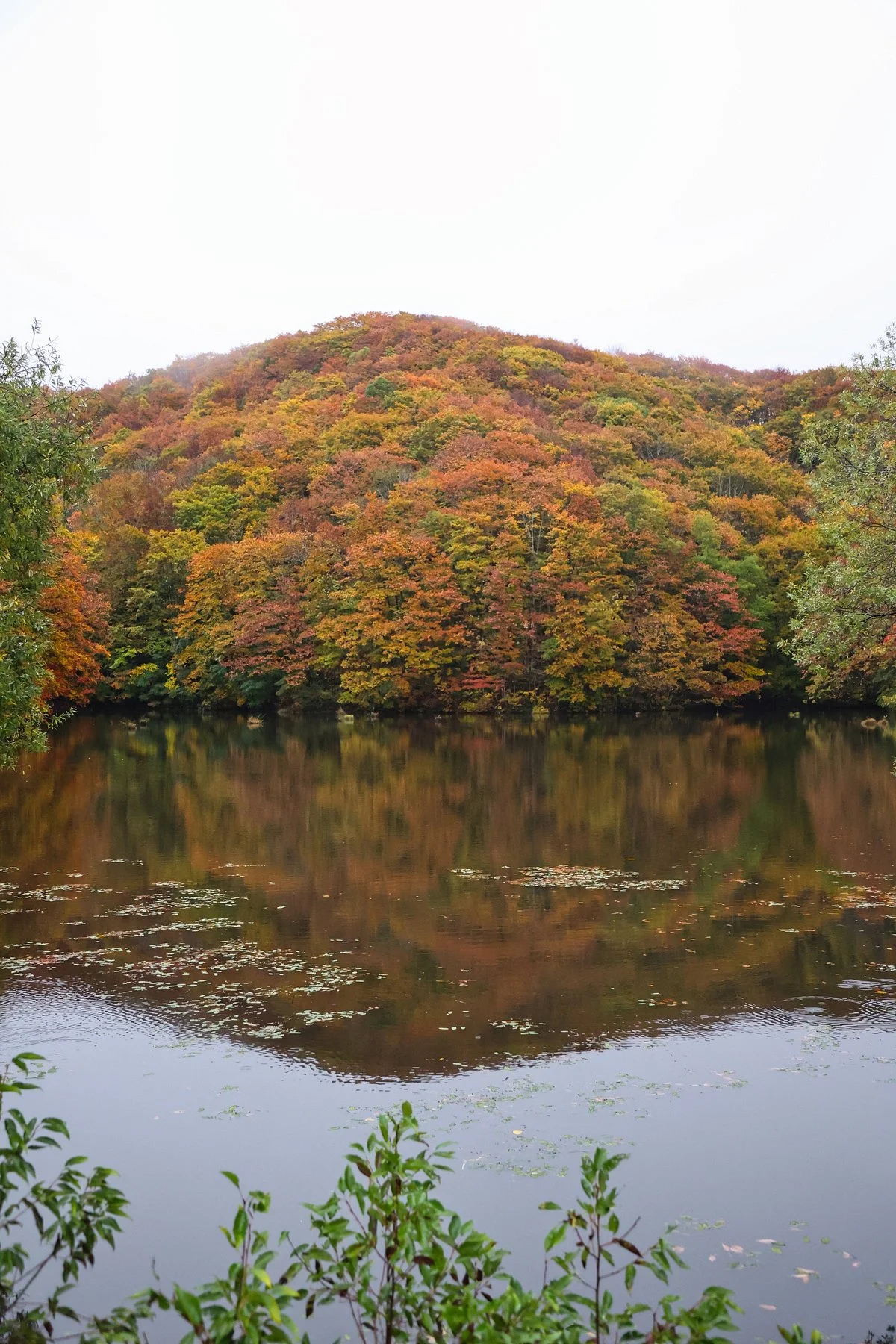 Magarisawa Pond