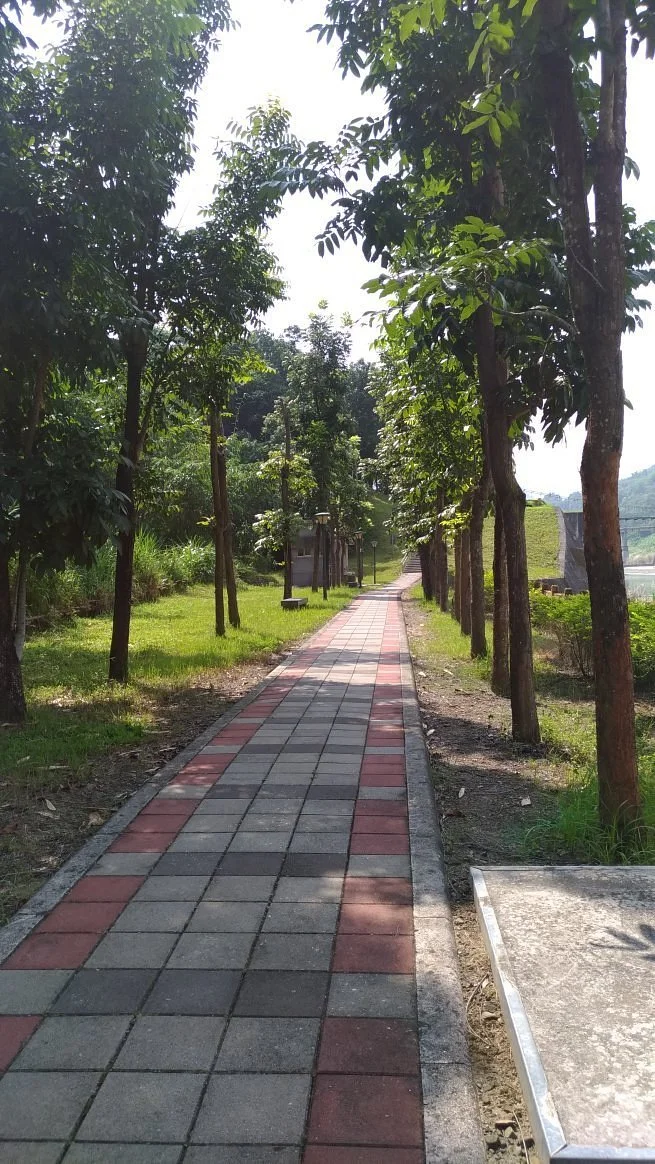 Tong Tou Lan He Yan