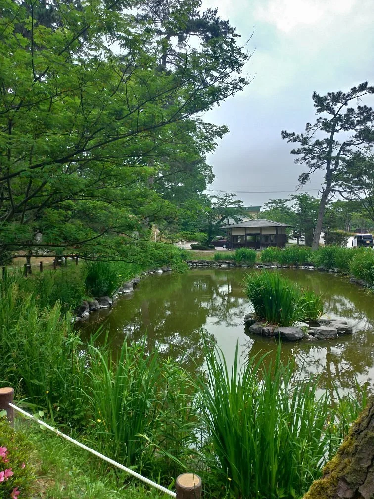 Shinohara Battlefield