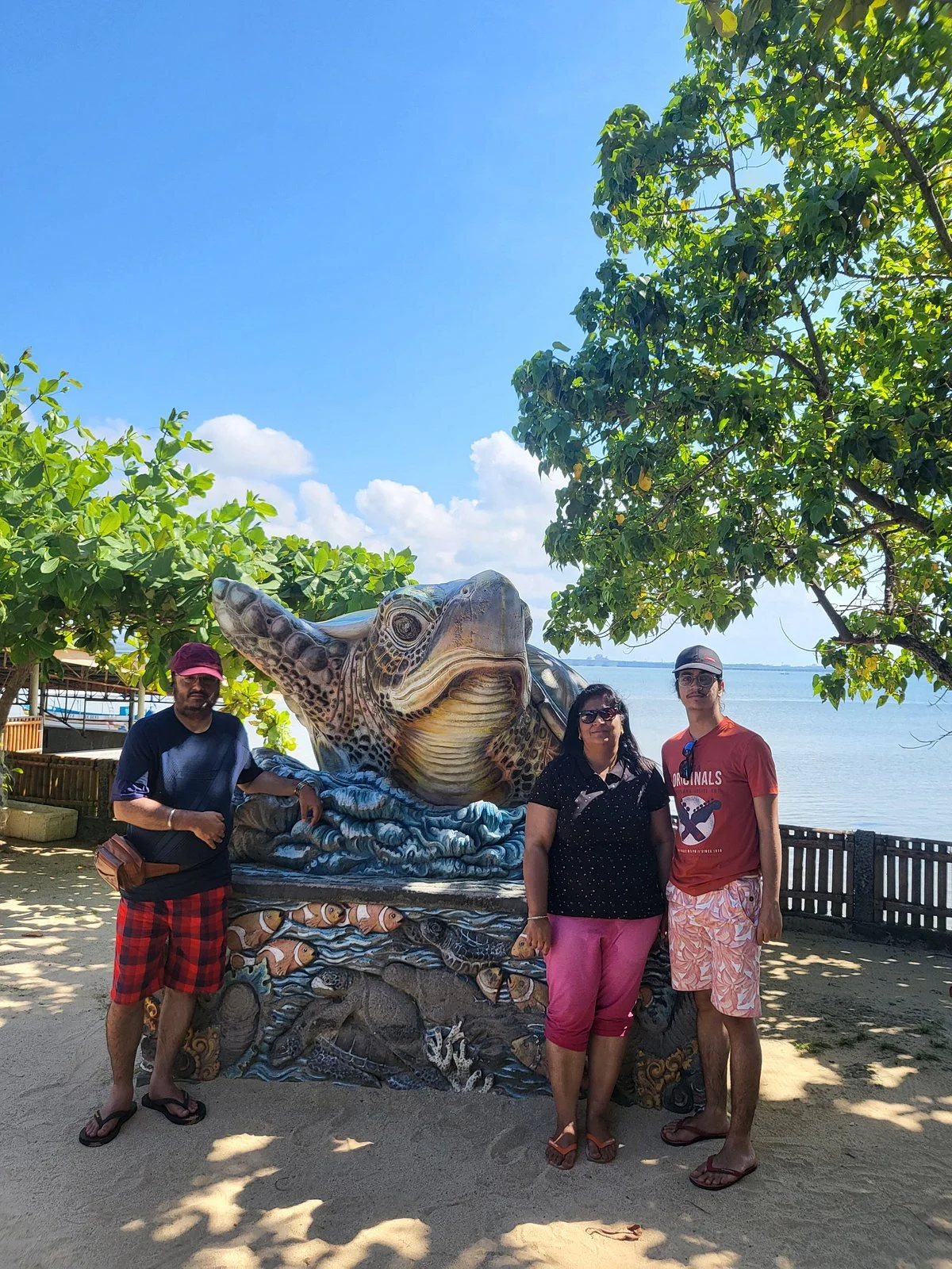 Turtle Island
