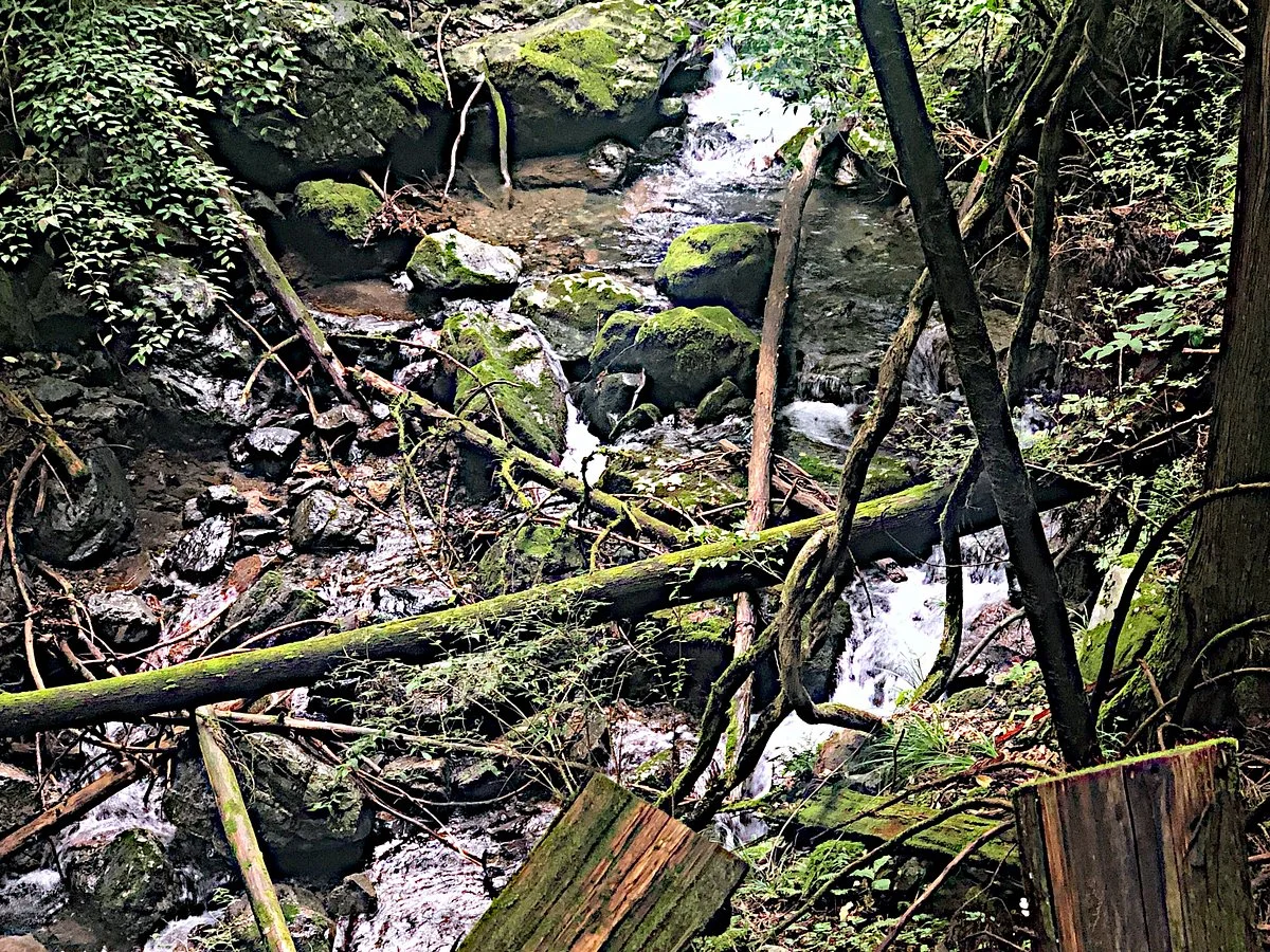 Kamikugayoriguri no Otaki