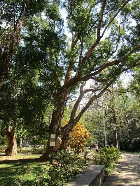 Qixing Park