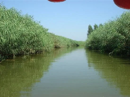 Window of Baiyang Lake