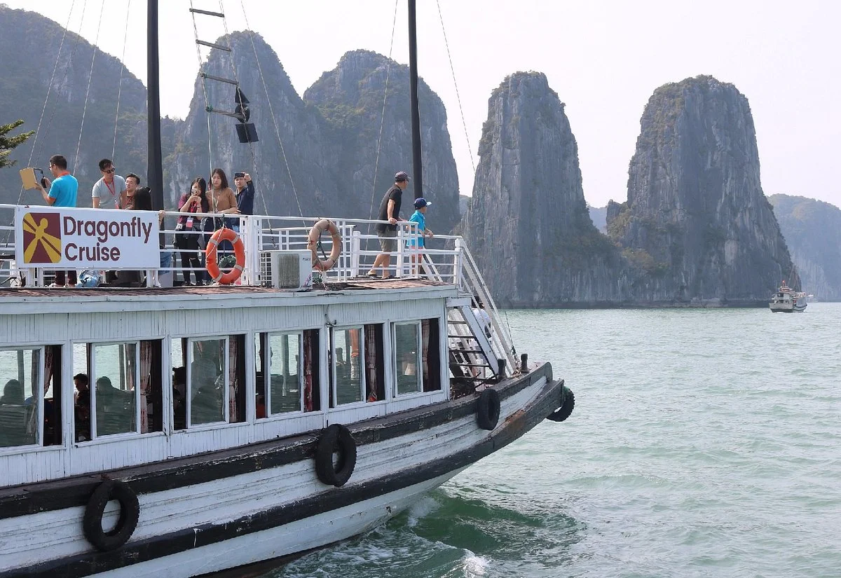 Dragonfly Cruise