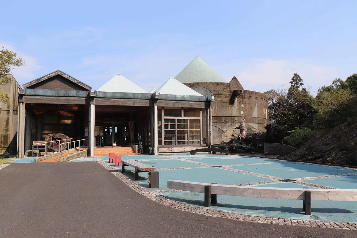 Yakusugi Museum
