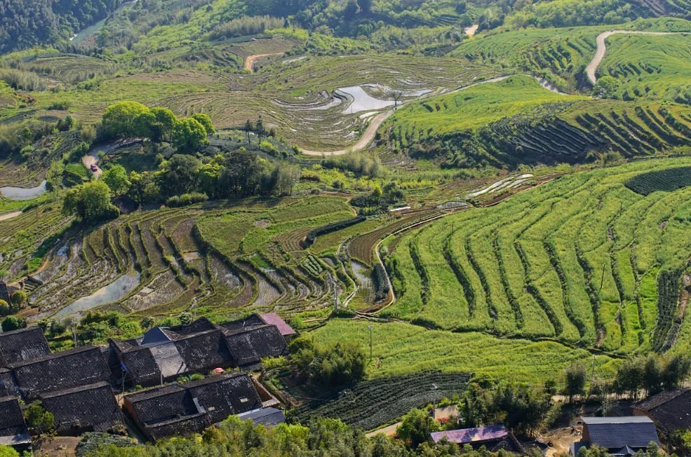Nianshan Terrace
