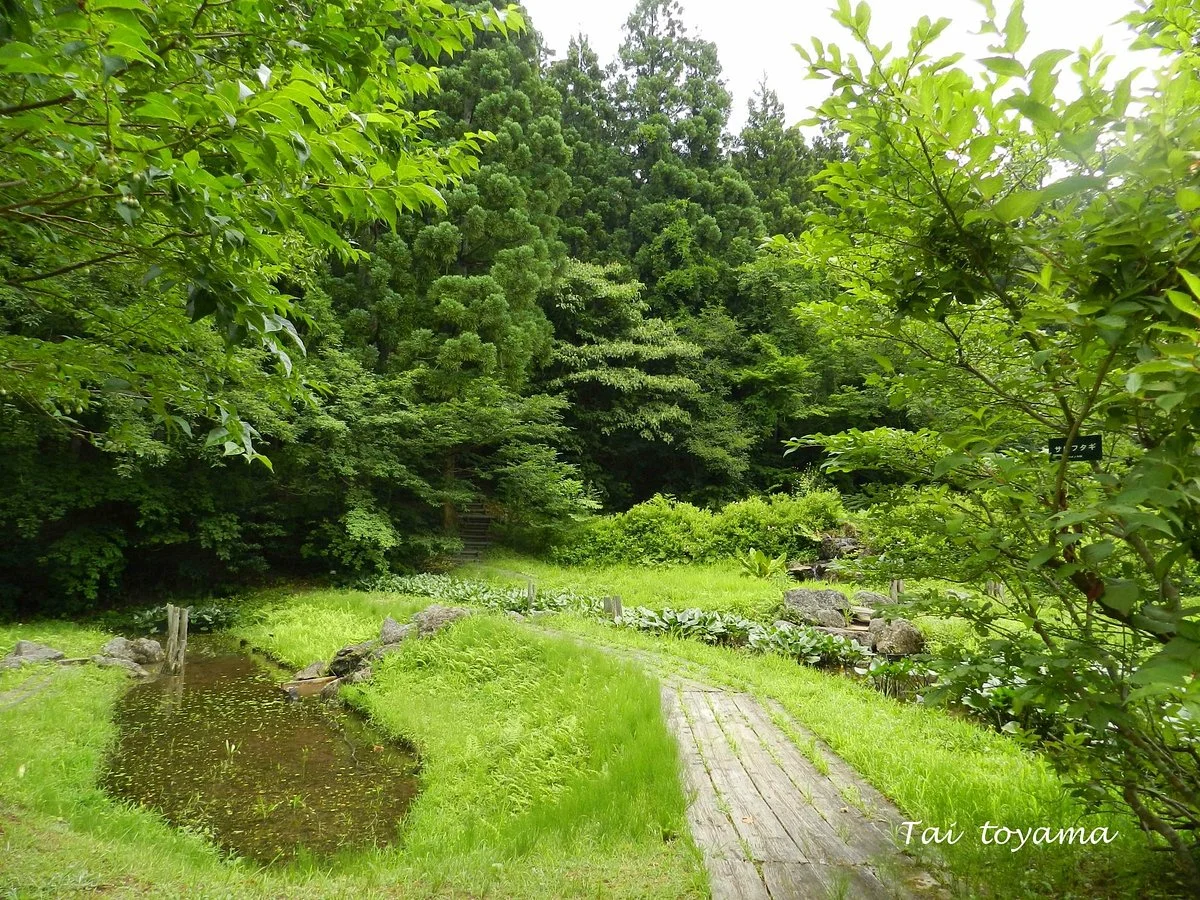 Green Park Yoshiime