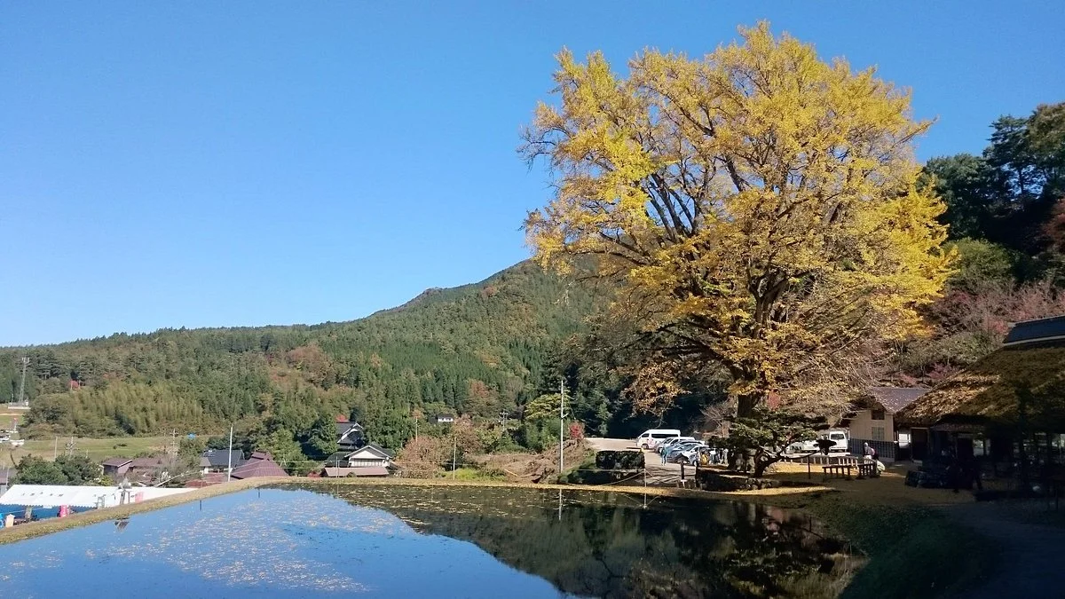 Kingen-ji Temple