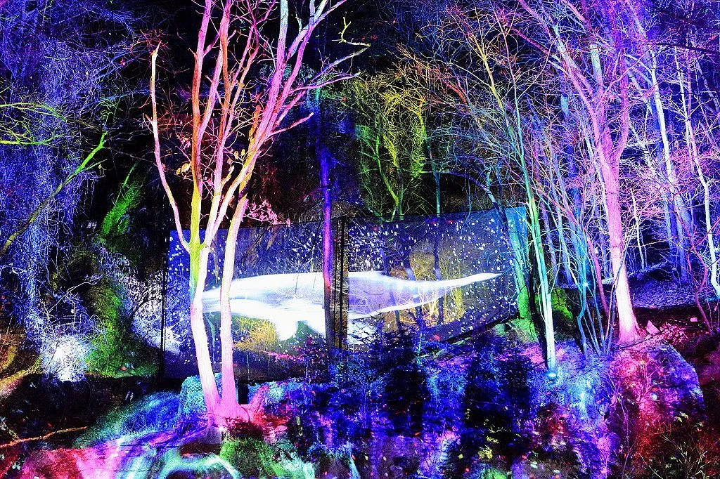 Sonata Of Light