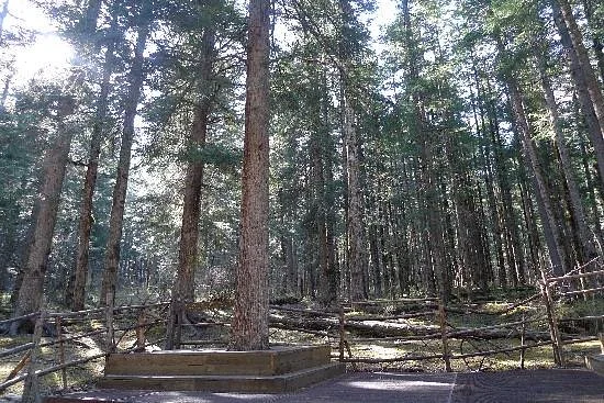 Mianyang Fenghuang Mountain Forest Park