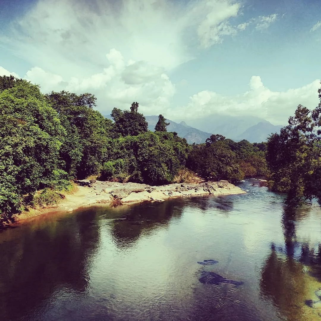 Nedumkayam