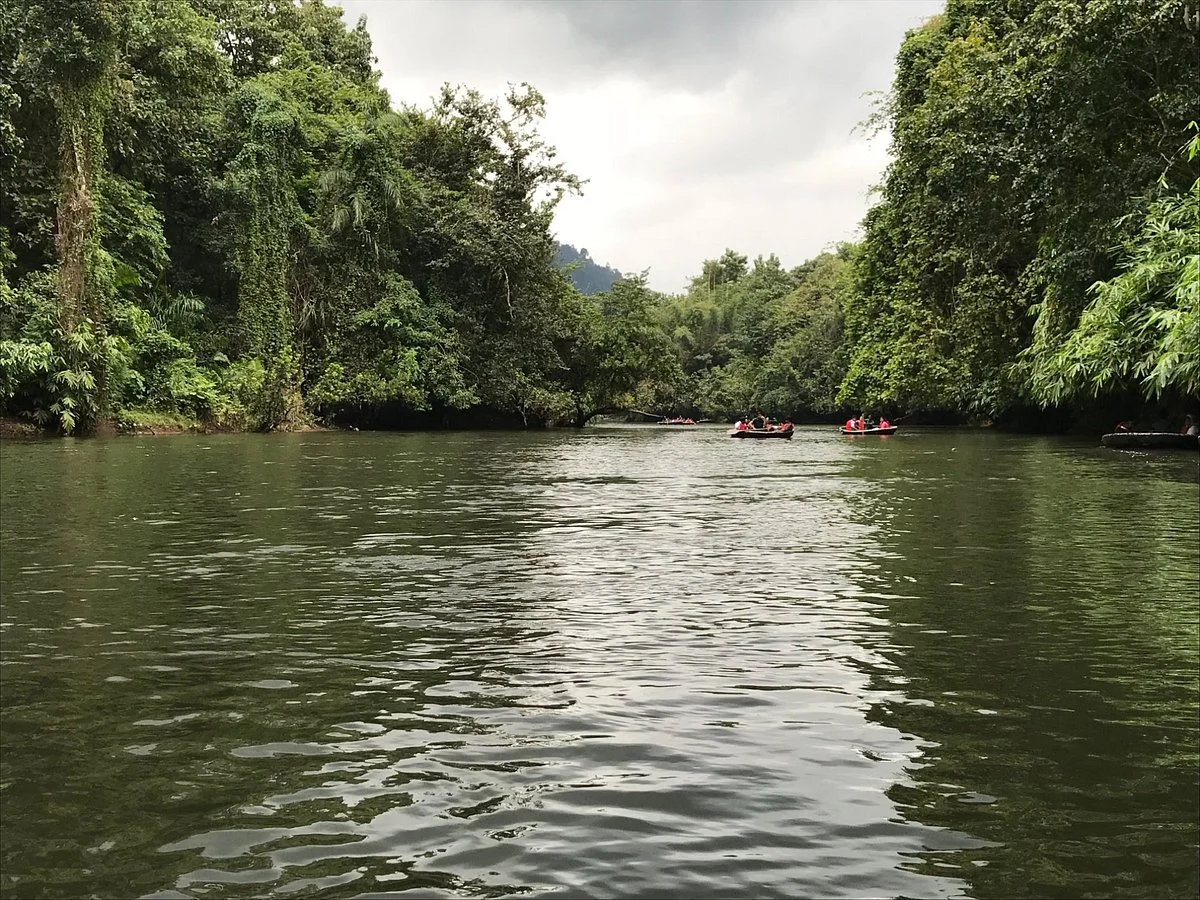 Konni Forest Reserve