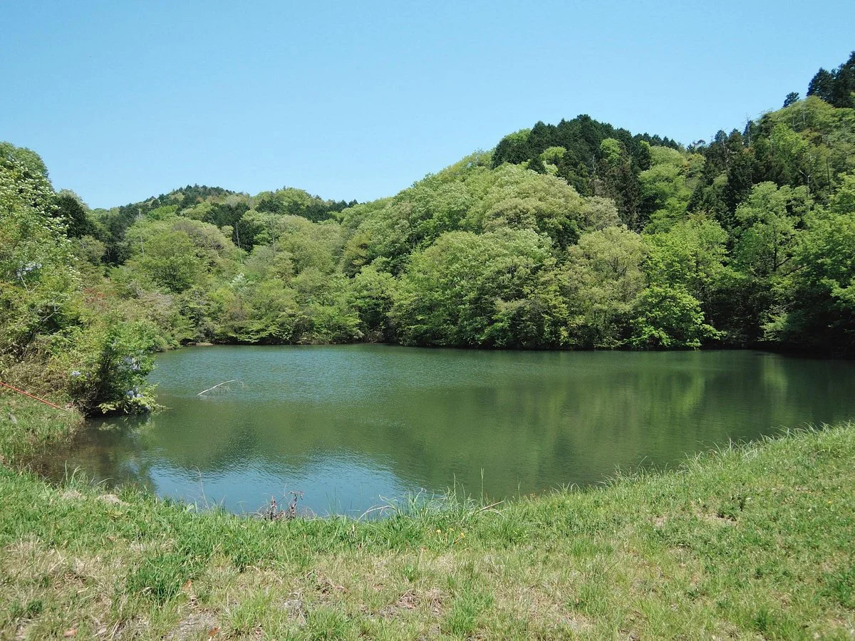 Mt. Taiio