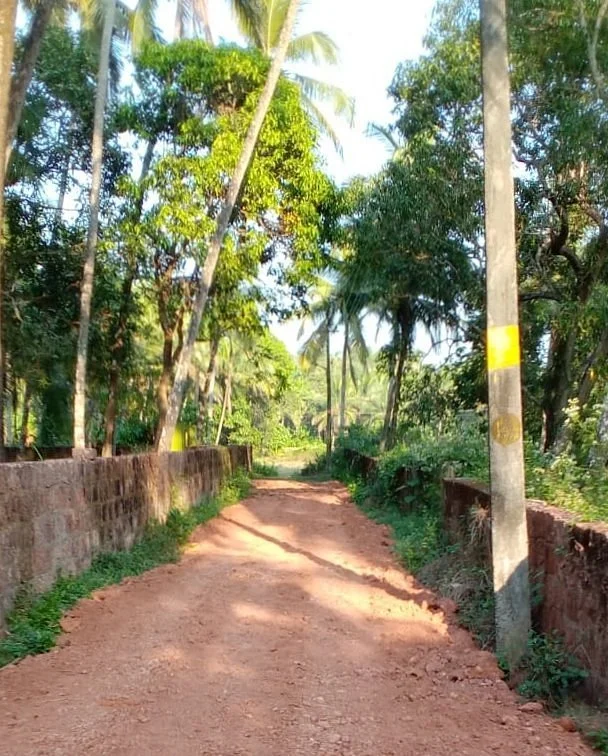 Mauvadi Vayal Bird Watching Point