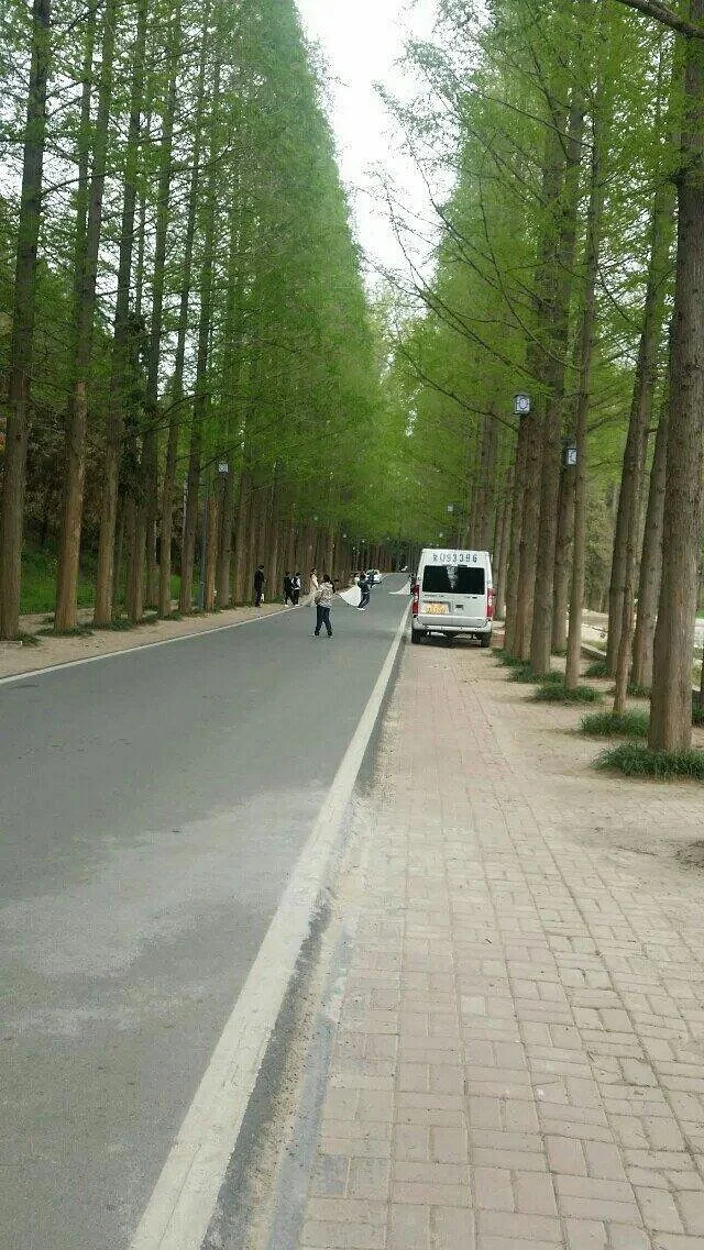 Tongshan Lake
