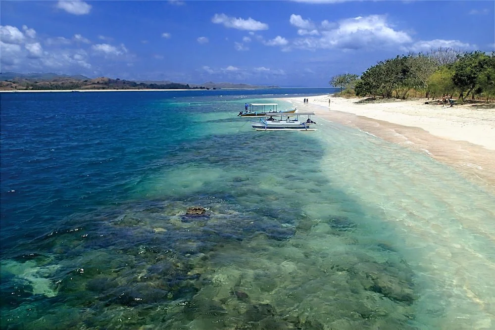 Gili Rengit