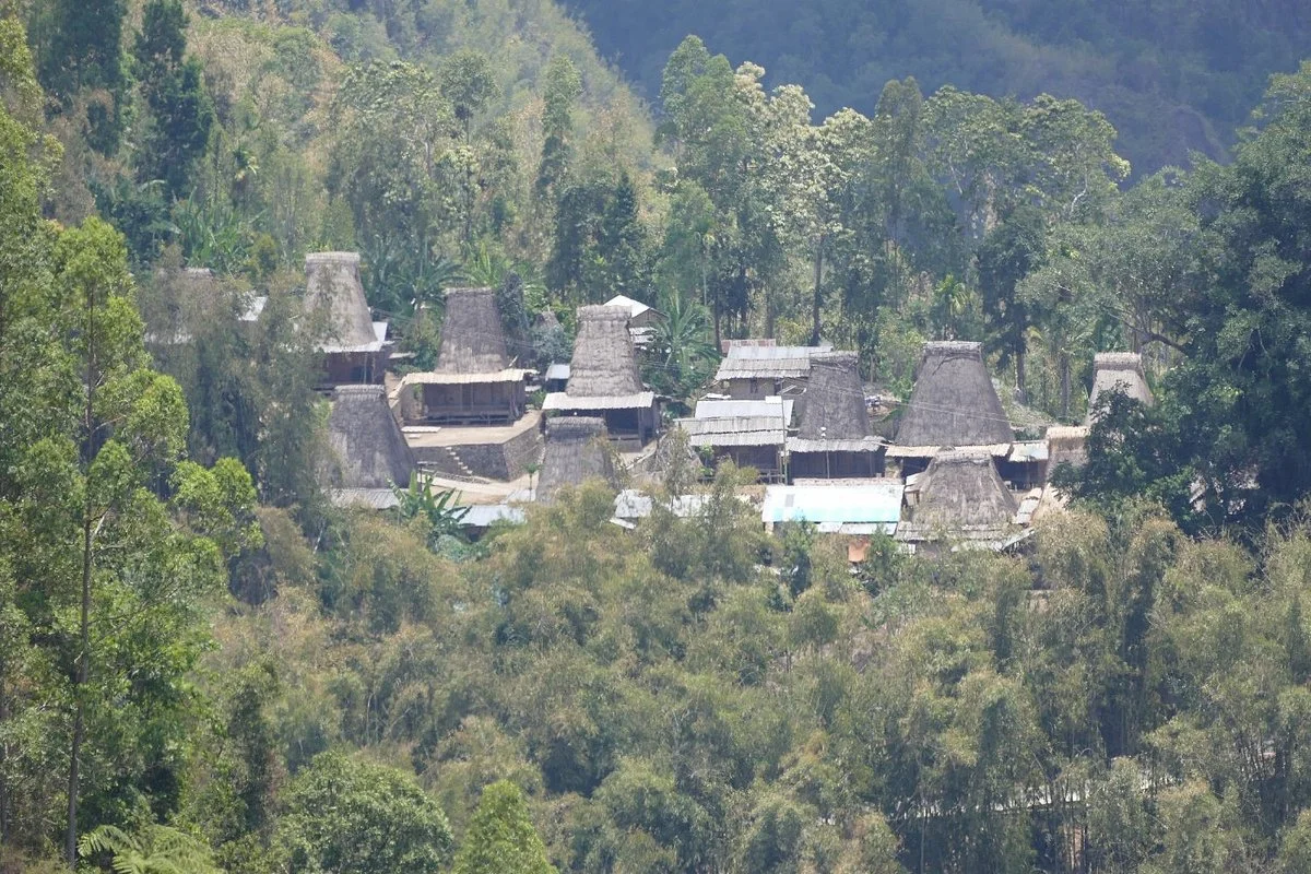 Manulalu Panorama