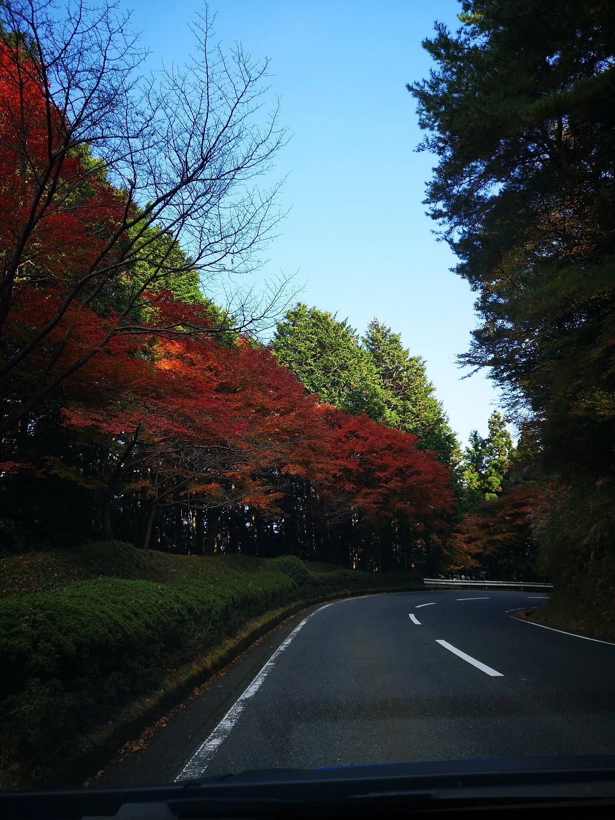 Okuhiei Driveway