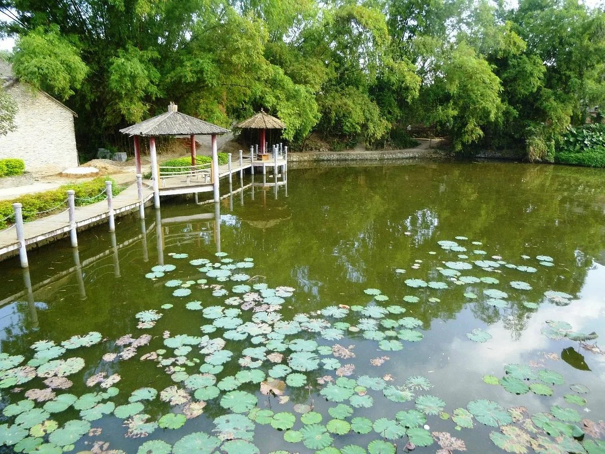 Yangmei Ancient Town