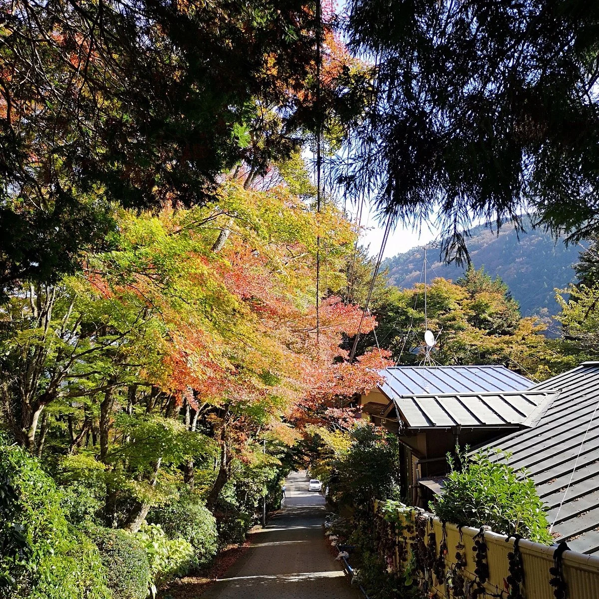 Hakone Kowakien Horai Garden