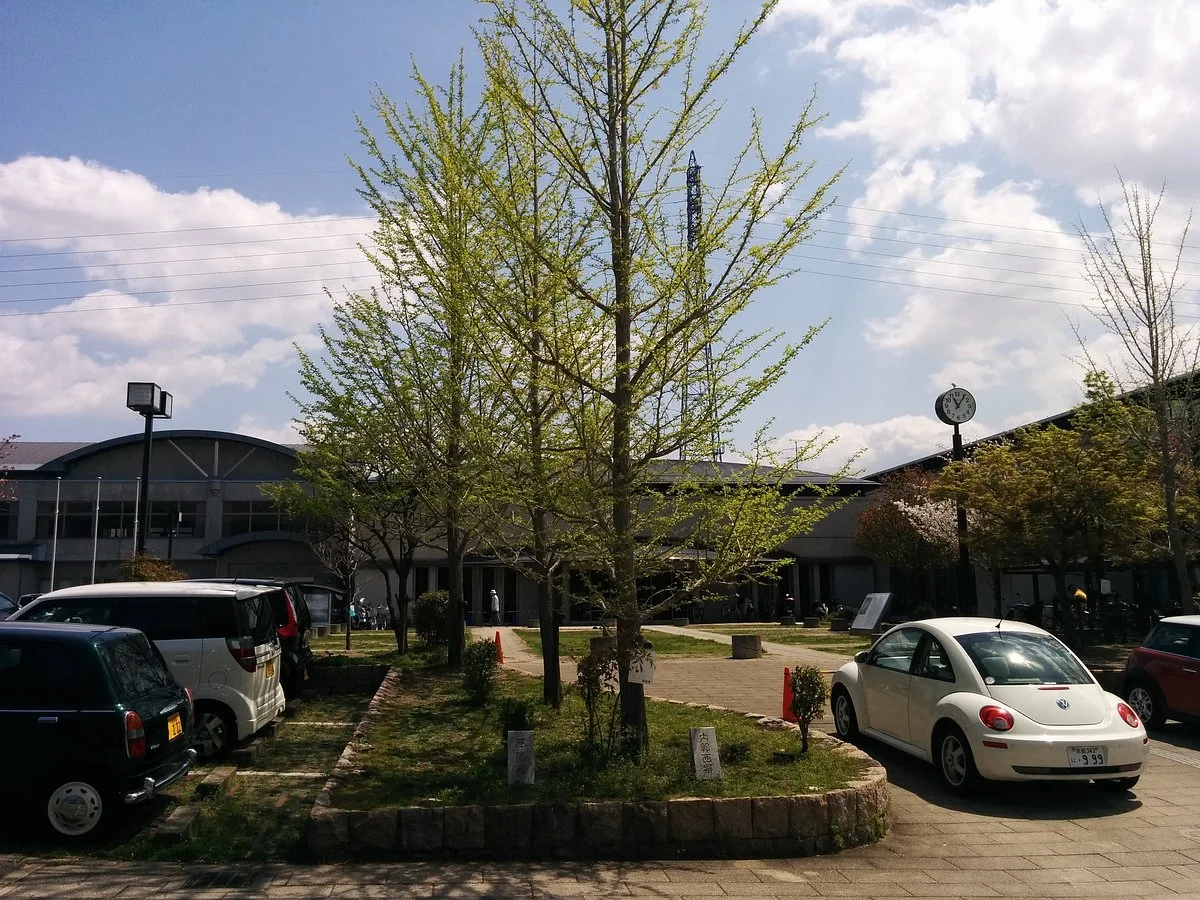 Toin Park