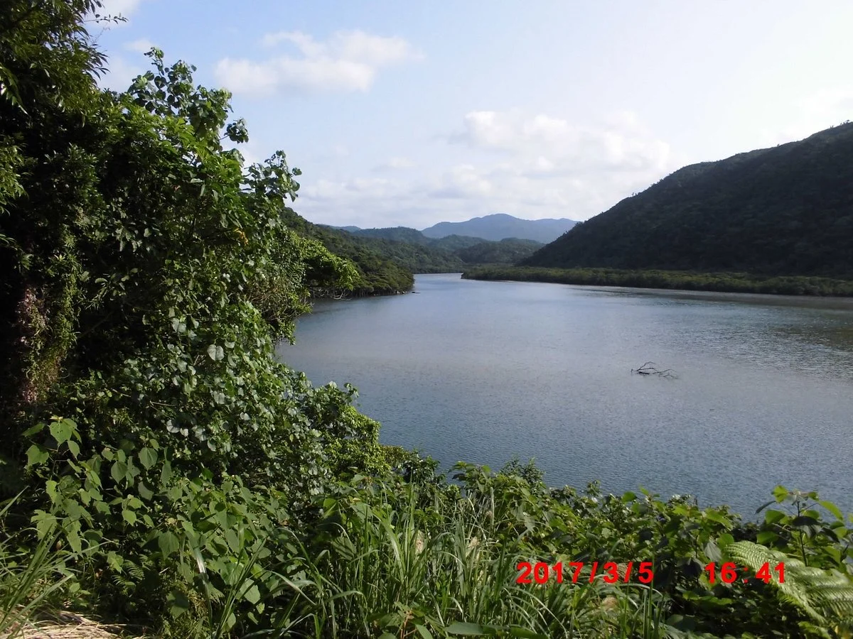 Utara Tanko