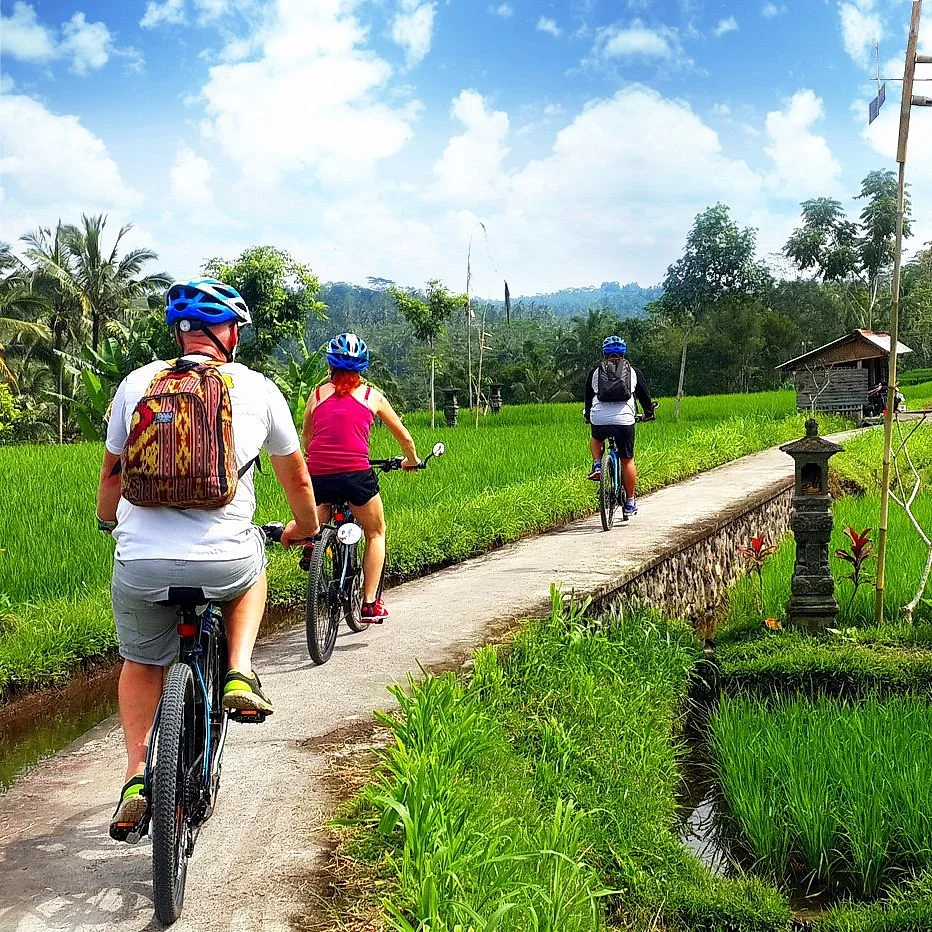 eBikes Bali Electric Bicycle Tours