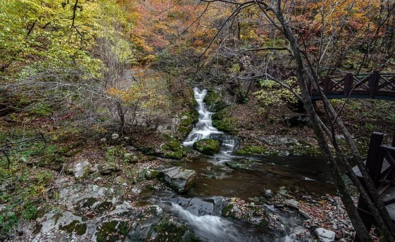 Geomnyongso Pond