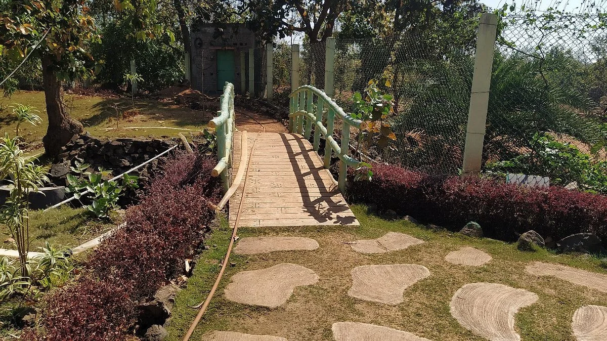 Amkhoi Fossil Wood Park