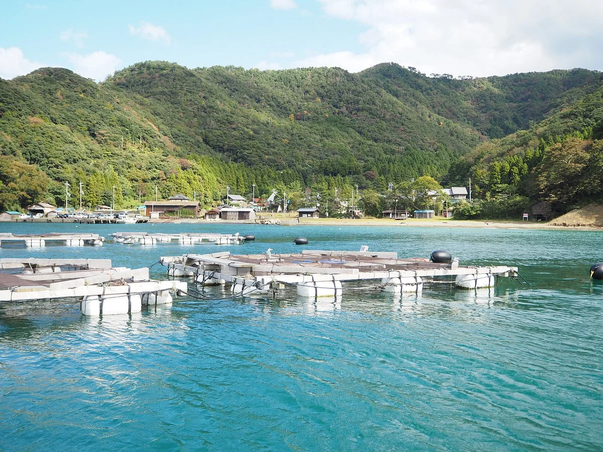 Tsuruhime Fishing Port