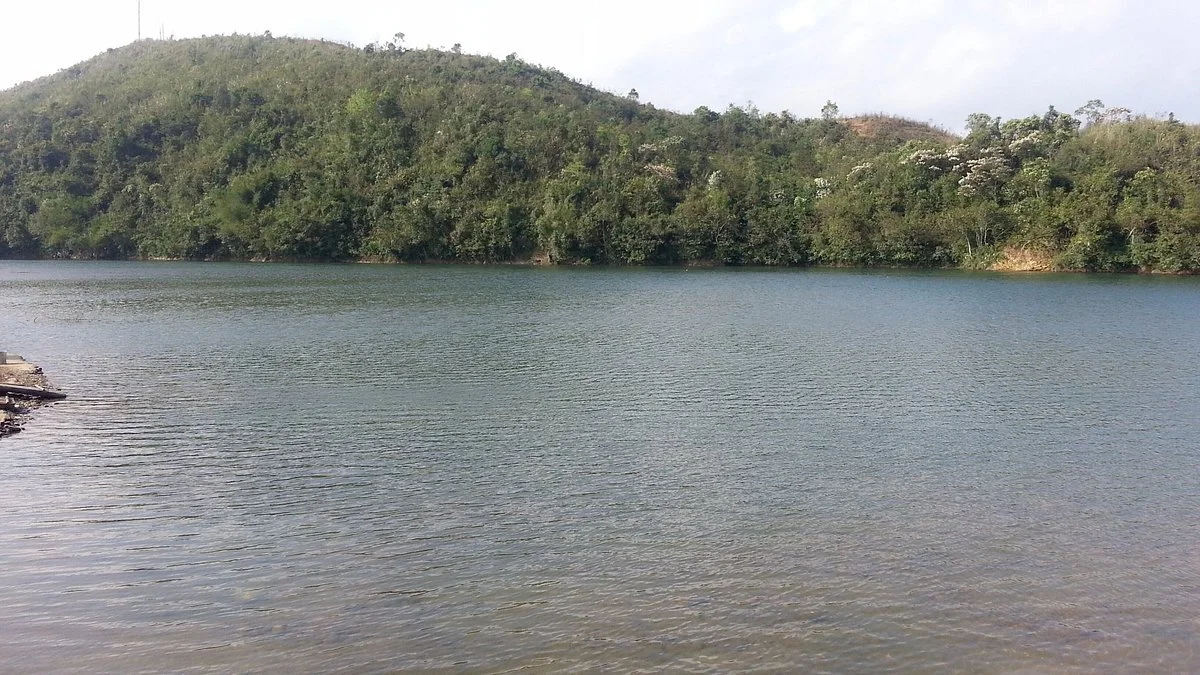 Beilun Estuary Nature Reserve