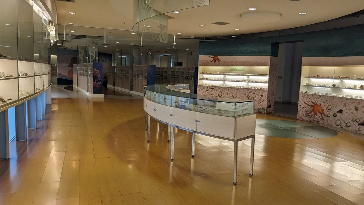 Cijin Shell Museum