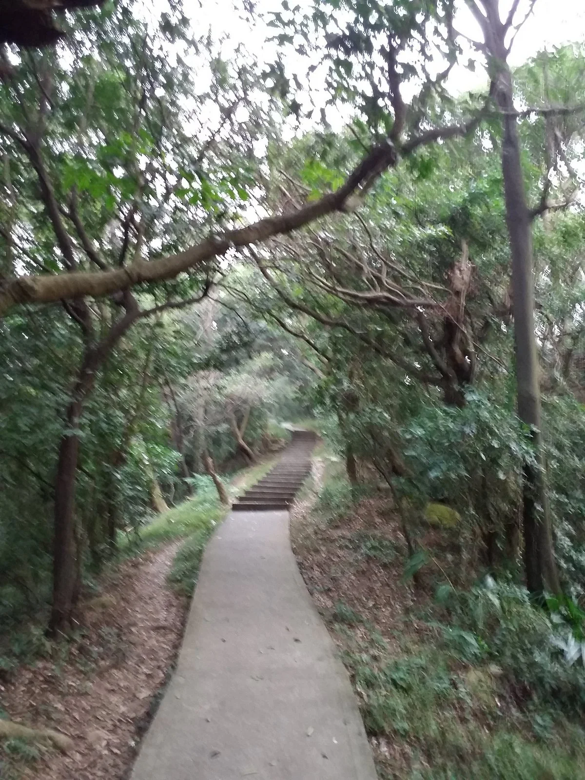 Citou Trail