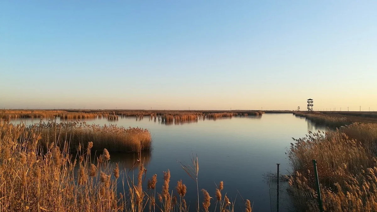 Caofeidian Wetland Scenic Spot