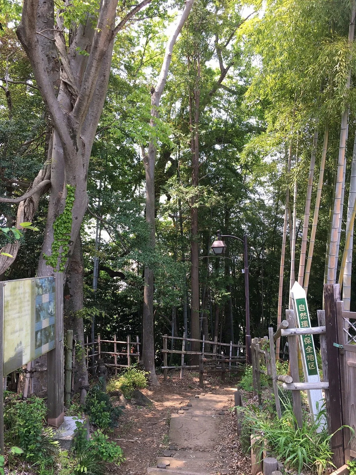 Deyama Underground Tomb