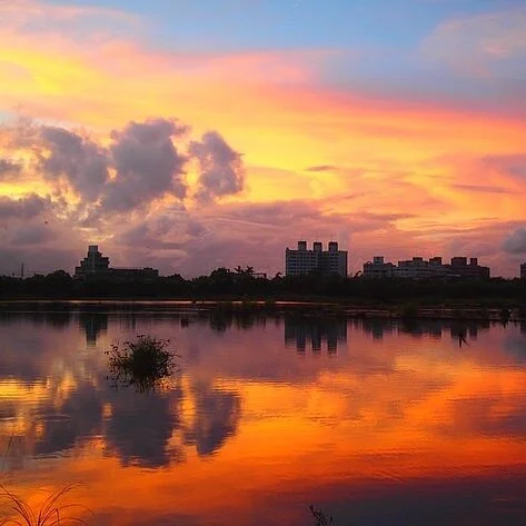 Yilan Luodong Forestry Culture Park
