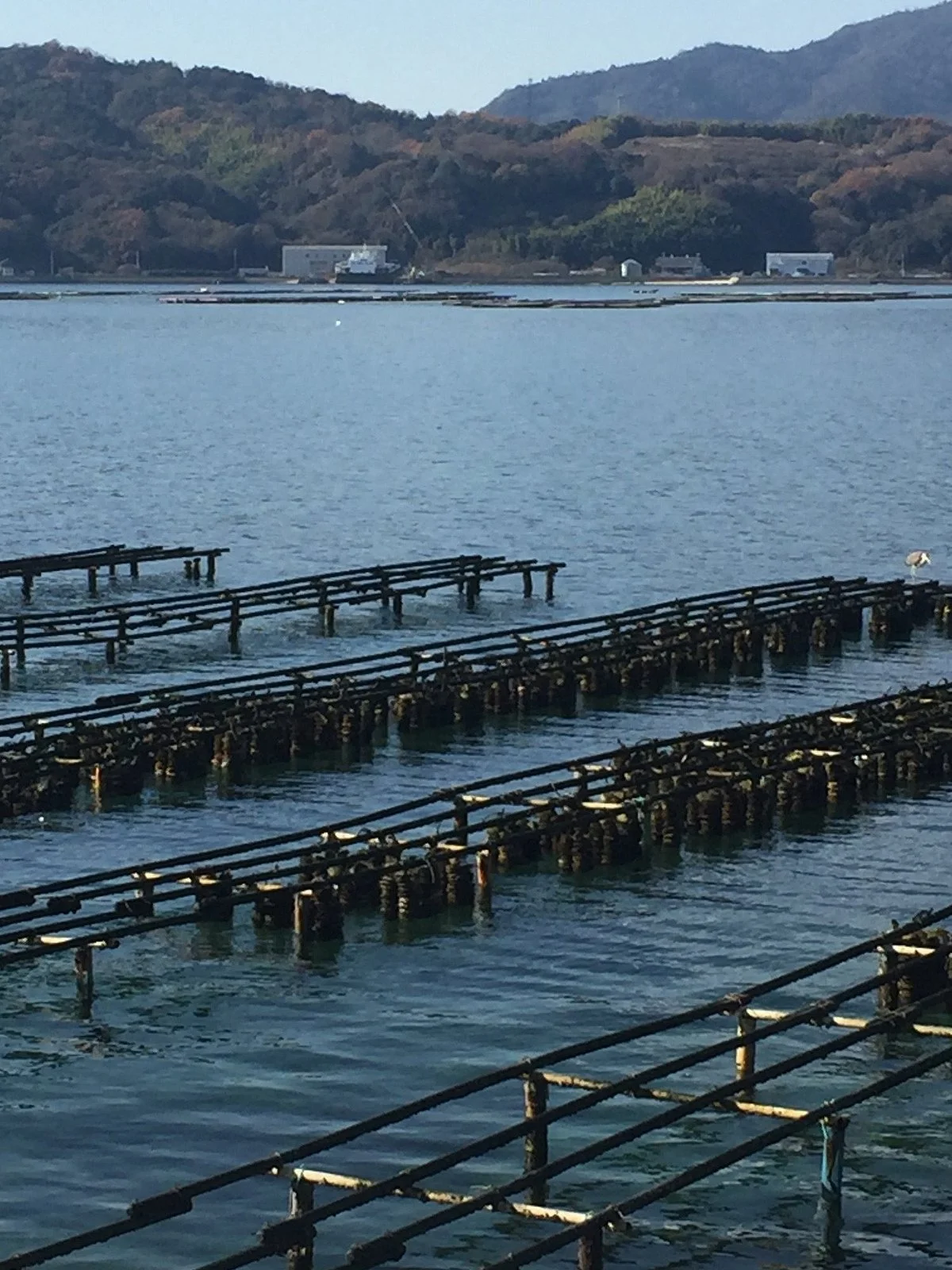 Kakishima Kaido Cycling Road