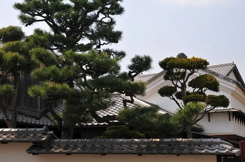 Suda Residence