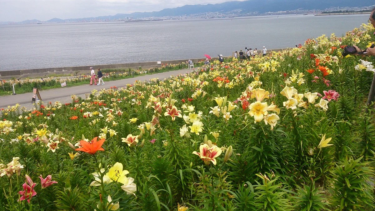 Maishima Sports Island