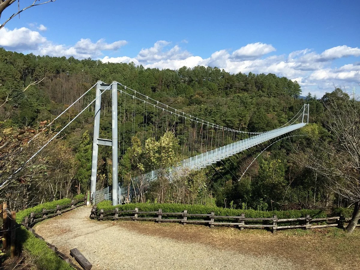 Shizuoka Prefectural Forest Park