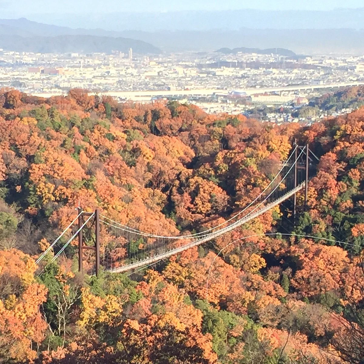 Hoshida Enchi, Osaka Prefecture Parks