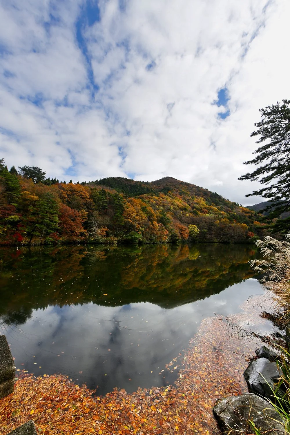 Ono Pond
